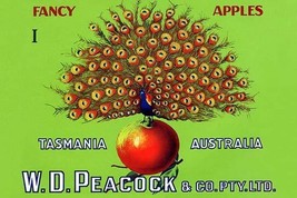 W.D. Peacock Fancy Apples - Art Print - £17.30 GBP+