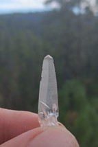 Star Seed Lemurian Quartz Crystal  Terminated 32x8mm 2g Exhibiting Stria... - $4.41