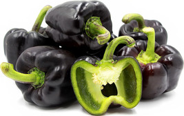 1 Pack 200 Black Sweet Pepper Seeds Paprike Capsicum Organic Heirloom - $3.98