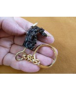(g120-34) KEYCHAIN GATOR Aligator ALLIGATOR Claw foot key I love gators ... - $13.63 CAD