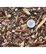 Dryland/High Elevation Conifer Potting Mix - $6.93+