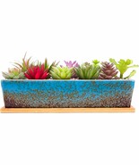 Succulent Pots - 11 Point 8 Inch Large Succulent Planter Pots With Drainage - €32,97 EUR