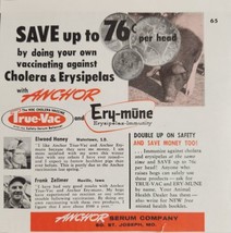 1955 Print Ad True-Vac Hog Cholera Vaccine Anchor Serum Co. St Joseph,Missouri - £9.66 GBP