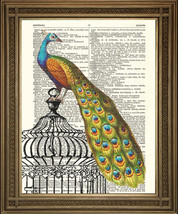 PEACOCK ON BIRD CAGE ANTIQUE DICTIONARY BOOK PAGE ART: Lovely Vintage Print - £6.18 GBP