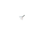 Belkin A7L704-1000-P BULK CABLE - BARE WIRE - BARE WIRE - UNSHIELDED TWI... - $833.82