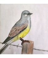 Western King Bird OOAK Original Artwork Signed Drawing Framed 1984 9.5x1... - $1,455.63 MXN