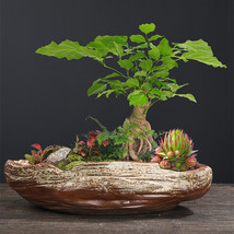 Ceramic Breathable Creative Personality Succulent Bonsai - £22.91 GBP