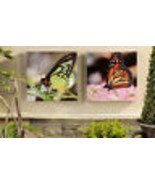 Butterfly Canvas Prints Framed Set of 2 Indoor Outdoor UV Protection 12&quot;... - $34.64