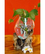 Molten Glass on Root Wood Vase Bowl Decor Teak Root Planting Bowl - €103,24 EUR