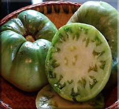 SL 50 Seeds Chef&#39;S Choice Green Tomato Juicy Tomatoe Vegetable Garden Edible Foo - £2.57 GBP