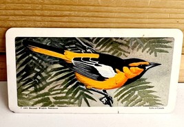 Vintage Songbird Trading Card Bullock&#39;s Oriole 1965 S9N34 Brooke Bond Te... - $20.99