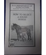 Vintage U.S. Department Of Agriculture How To Select A Sound Horse 1926 - £4.68 GBP