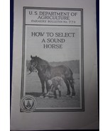 Vintage U.S. Department Of Agriculture How To Select A Sound Horse 1926 - $8.21 CAD