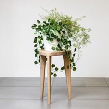 Oak plant stand - Plant stool - Wooden table - Plant stand wood - Tall pot flowe - £187.04 GBP