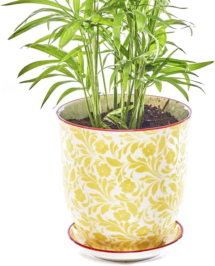 Chive "Liberte" Ceramic Planter Pot: Adorable Plant Containers For Indoor And - $42.92