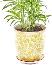Chive &quot;Liberte&quot; Ceramic Planter Pot: Adorable Plant Containers For Indoor And - £34.30 GBP