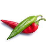100++ Pepper Seeds - Hot - NuMex College 64L - Joe E Parker Hot Pepper O... - £2.58 GBP
