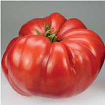 USA Seller German Giant Tomato Seeds Fast Shipping - £9.56 GBP