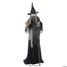 Animated lunging haggard witch - $378.15 CAD