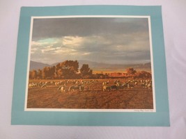 Vitg Standard Oil Co Scenic print/info Grazing Sheep Central Utah - £7.90 GBP