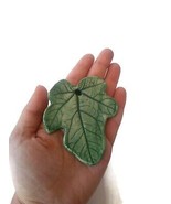Big Handmade Ceramic Fig Leaf Pendant For Necklace Jewelry Making Artisa... - £21.81 GBP