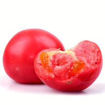 Fresh New 5 Bags 200 Seeds Fluffy Pink 802 Tomato Pink Perfection - £34.10 GBP