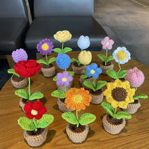 Hand Woven Mini Small Potted Flowers - £14.88 GBP+