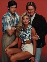 Hawaiian Heat (1984 TV series)(6 episodes) DVD-R - £25.37 GBP