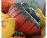 Turks Turban  Gourd Seeds 5 Seeds Fast Shipping - £7.20 GBP