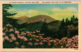 Mount Mitchell Highest Peak East of the Mississippi mississippi Postcard - £19.29 GBP