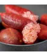 Novel Finger Limes Citrus Pomegranate Bonsai Delicious Sweet Fruit Bonsa... - $9.56