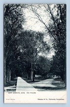 The Walks Street View Ann Arbor Michigan MI Raphael Tuck UNP UDB Postcard P13 - £7.75 GBP