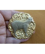 B-LAMB-4 fluffy little baby Lamb sheep ewe circle brass pin brooch farm ... - €19,97 EUR