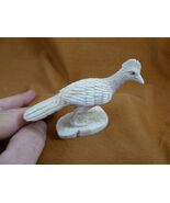 (Road-W3) white gray Roadrunner shed ANTLER figurine Bali detailed fast ... - $228.43 CAD