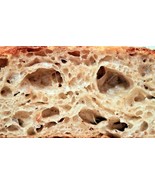 ORIGINAL BEST SELLING SAN FRANCISCO SOURDOUGH STARTER FROM THE WHARF SUPER TANGY - $8.50