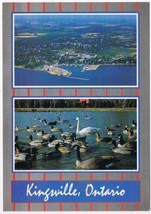 Postcard Kingsville Harbour &amp; Jack Miner&#39;s Bird Sanctuary Kingsville Ont... - £3.88 GBP