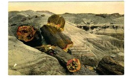 Petrified Logs Petrified Forest Hand Colored Postcard 1936 Holbrook Arizona - £9.30 GBP