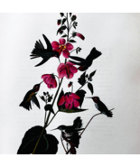 1979 Anna&#39;s Hummingbird Color Plate Print Audubon Birds Of America Art F15L - $29.99