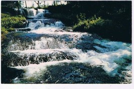 Ontario Postcard Cool Sparkling Stream Canadian Wilderness - $2.15