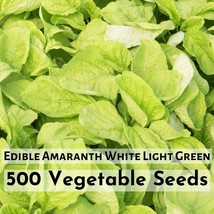 500 Seeds Edible Amaranth White Light Green Seeds (500 mg) - $9.98