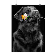 Labrador Hold Rose Romantic Dog Matte/Glossy Poster A0 A1 A2 A3 A4 | Wellcoda - £6.43 GBP+