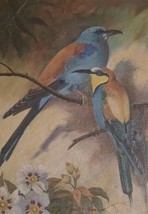 Vintage 1941 Still Life Painting on Board of Two Birds by Fleurette Bender - $10,699.29 MXN