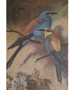 Vintage 1941 Still Life Painting on Board of Two Birds by Fleurette Bender - $783.98 CAD