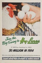 1950&#39;s? Print Ad Hy-Line Poultry Farms Layers Chickens Des Moines,Iowa - £16.26 GBP