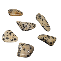 Set 6 Dalmatian Jasper Tumble Stones - Jasper Dalmatian - £3.96 GBP