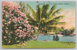 Vintage Postcard Oleanders and Palm Shaded Lagoon Florida 1939 St Petersburg - £11.31 GBP