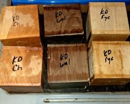 Six (6) Kiln Dried Walnut Cherry Sycamore Bowl Blanks Turning Wood 5&quot; X 5&quot; X 3&quot; - $62.32