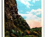 Shikellamy Profile Blue Hill Sunbury Pennsylvania PA UNP WB Postcard N20 - £3.12 GBP