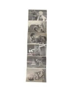 North Shore Animal League Post Card Photo Black &amp; White Lot of 6 Vintage - €15,46 EUR