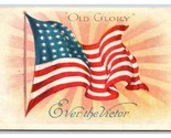 Patriotic Flag Old Glory Ever the Victor UNP Unused DB Postcard H24 - $4.90